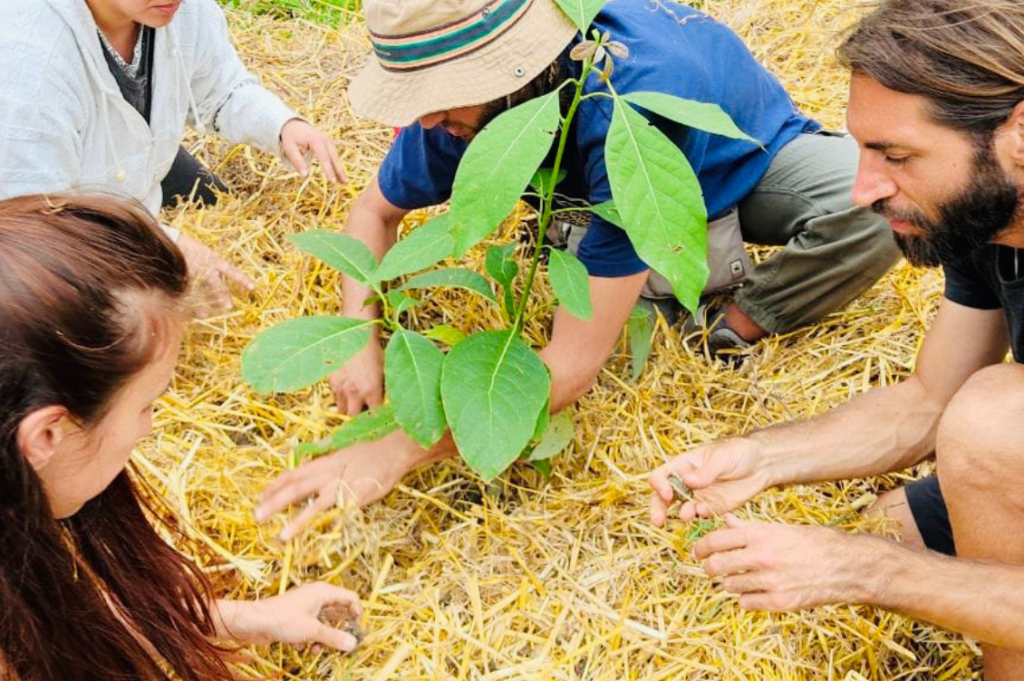 WWOF THEECOSPHERE