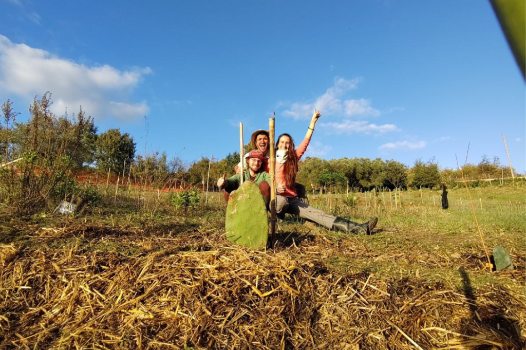 wwoof