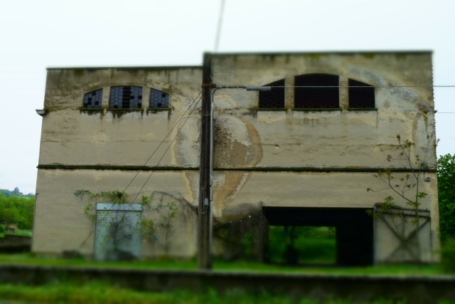 DSC 0492
