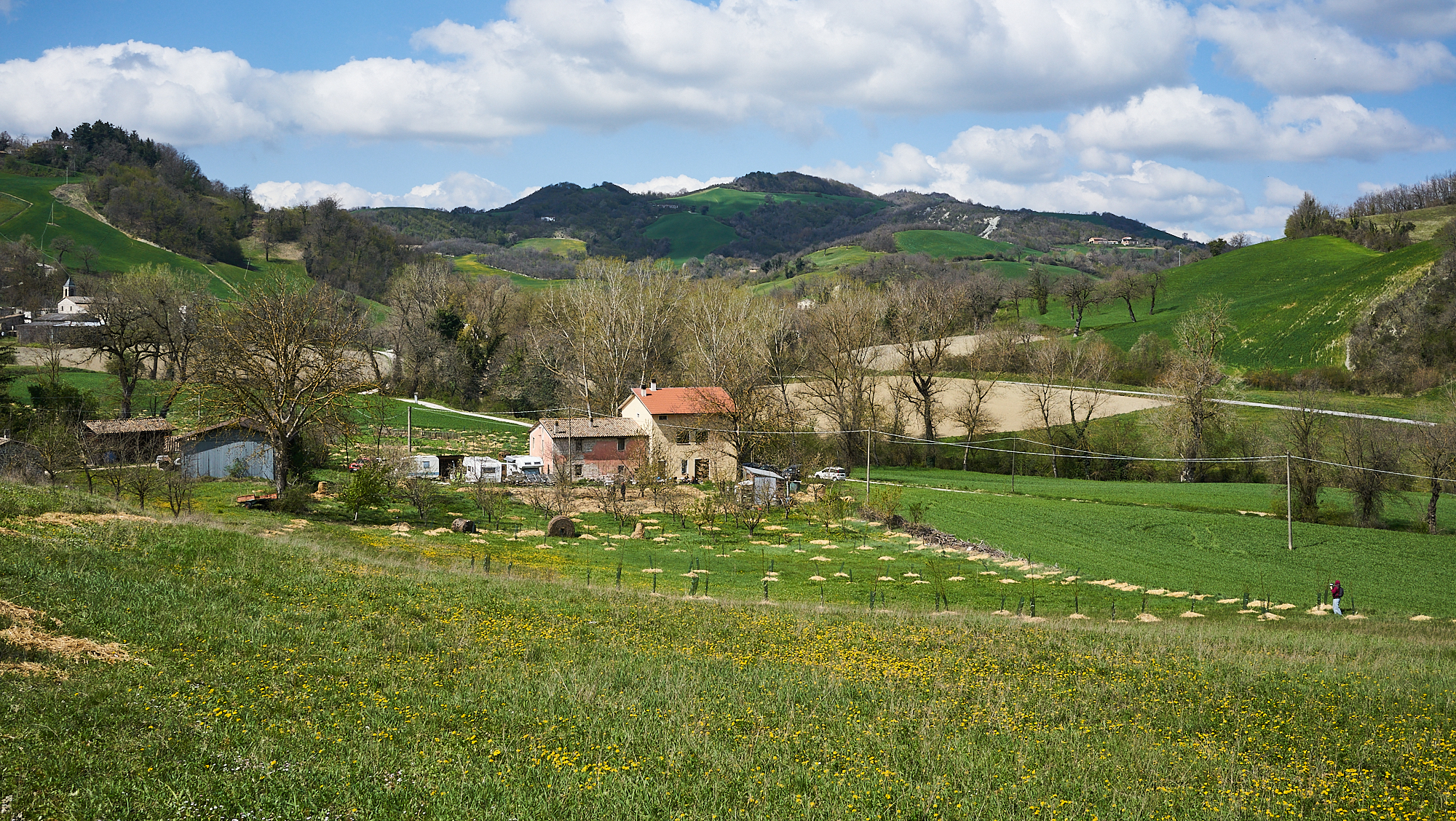 Fattoria Naturale Shizen 2