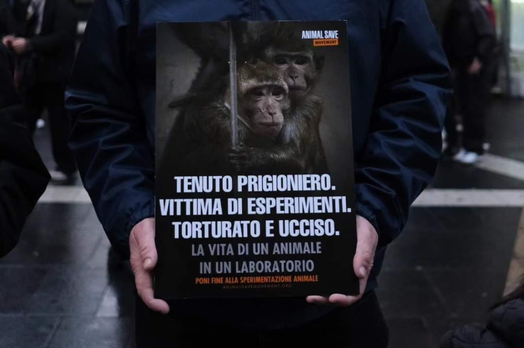 animal save movement