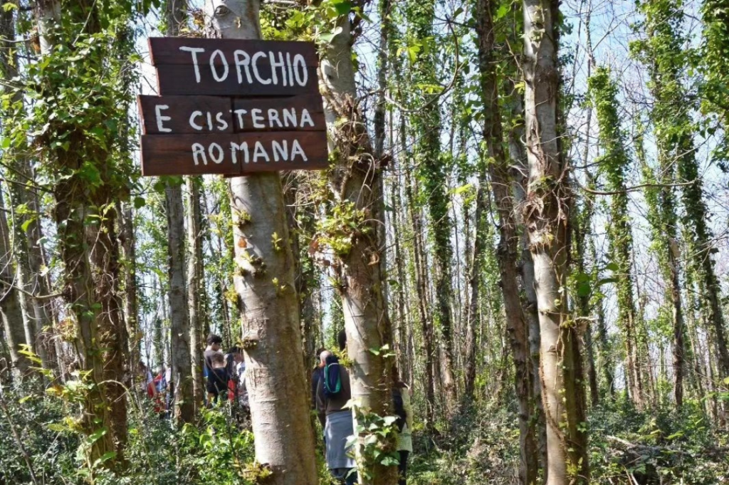 Bosco della Salandra