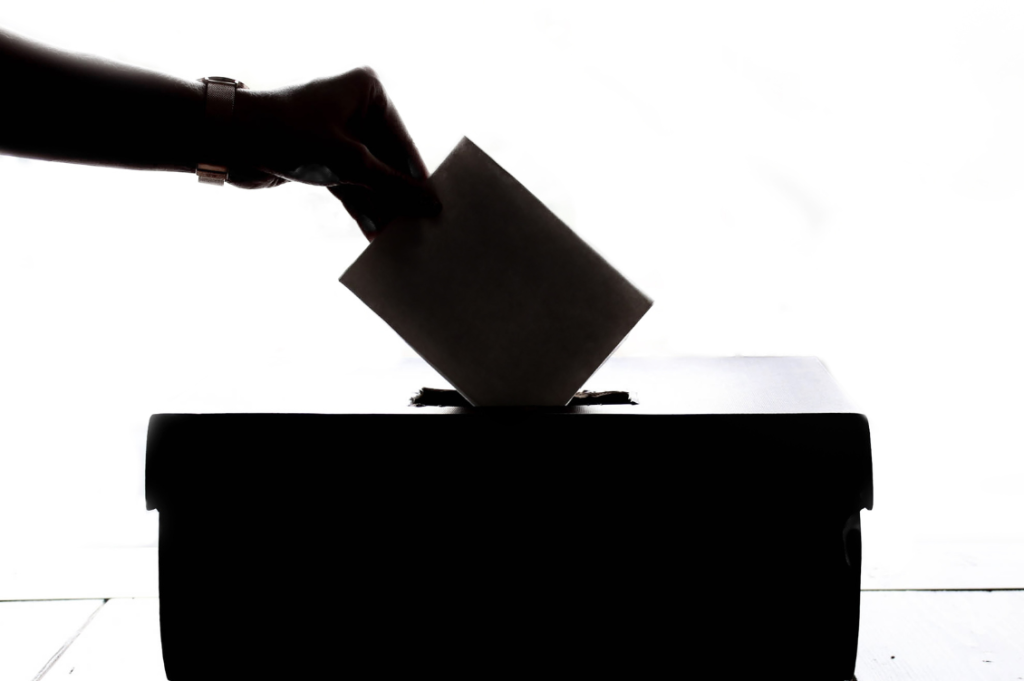 elezioni repertorio