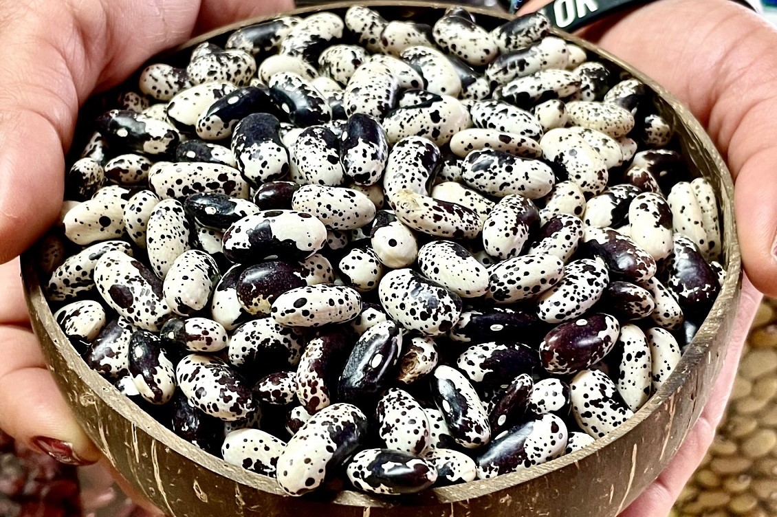 cercatori di semi 2
