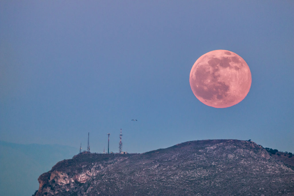 HEADER luna lunare canva 1