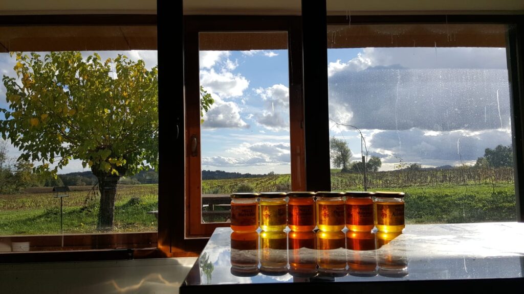 Vasetti di miele artigianale in azienda apistica friulana durante le visite alle aziende apistiche di Mielerie Aperte
