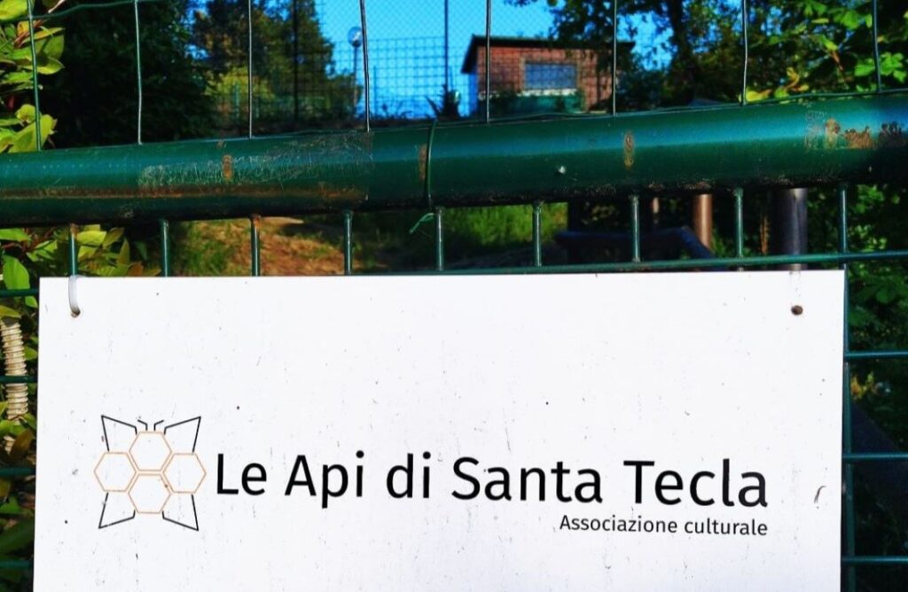 api santa tecla
