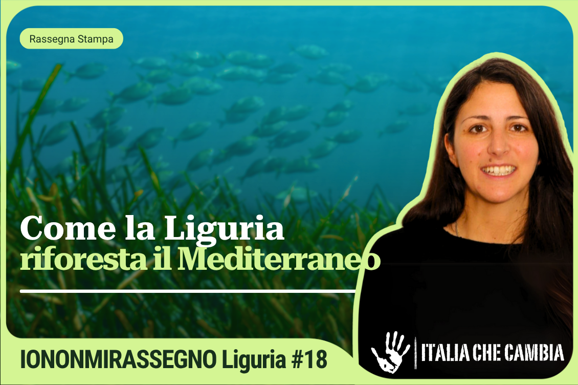 Cover Rassegna Home 1130 x 752