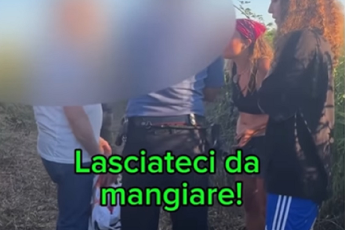 arborio