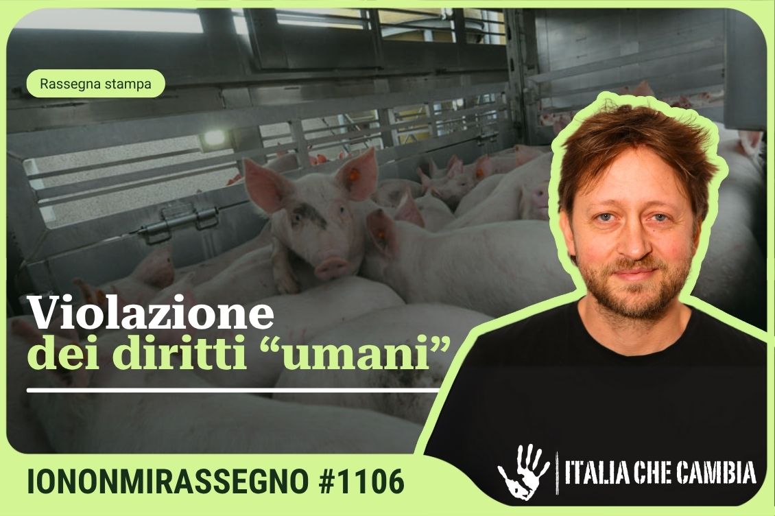 Cover Rassegna Home 1130 x 752 px 57 1