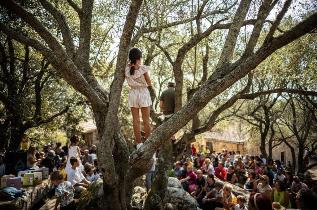 photo 2025 08 27 15 14 24