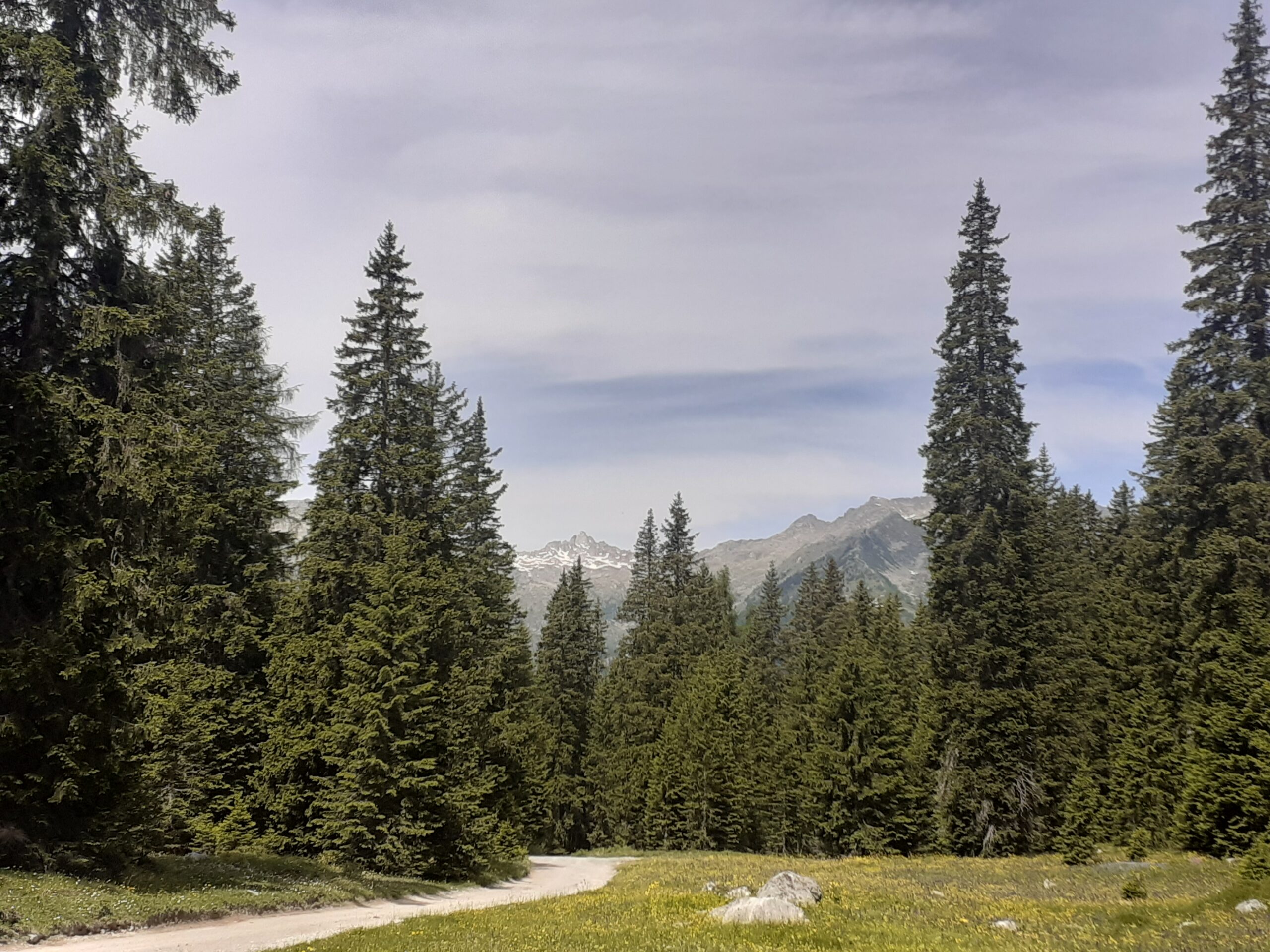 20250618 111453 1 scaled