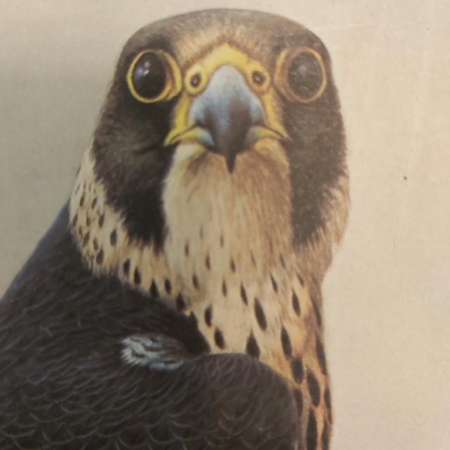 39 347 382 7900 20241223 165521 12