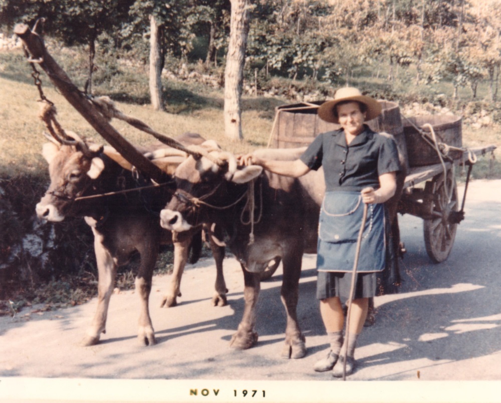 latteria villa vicenza