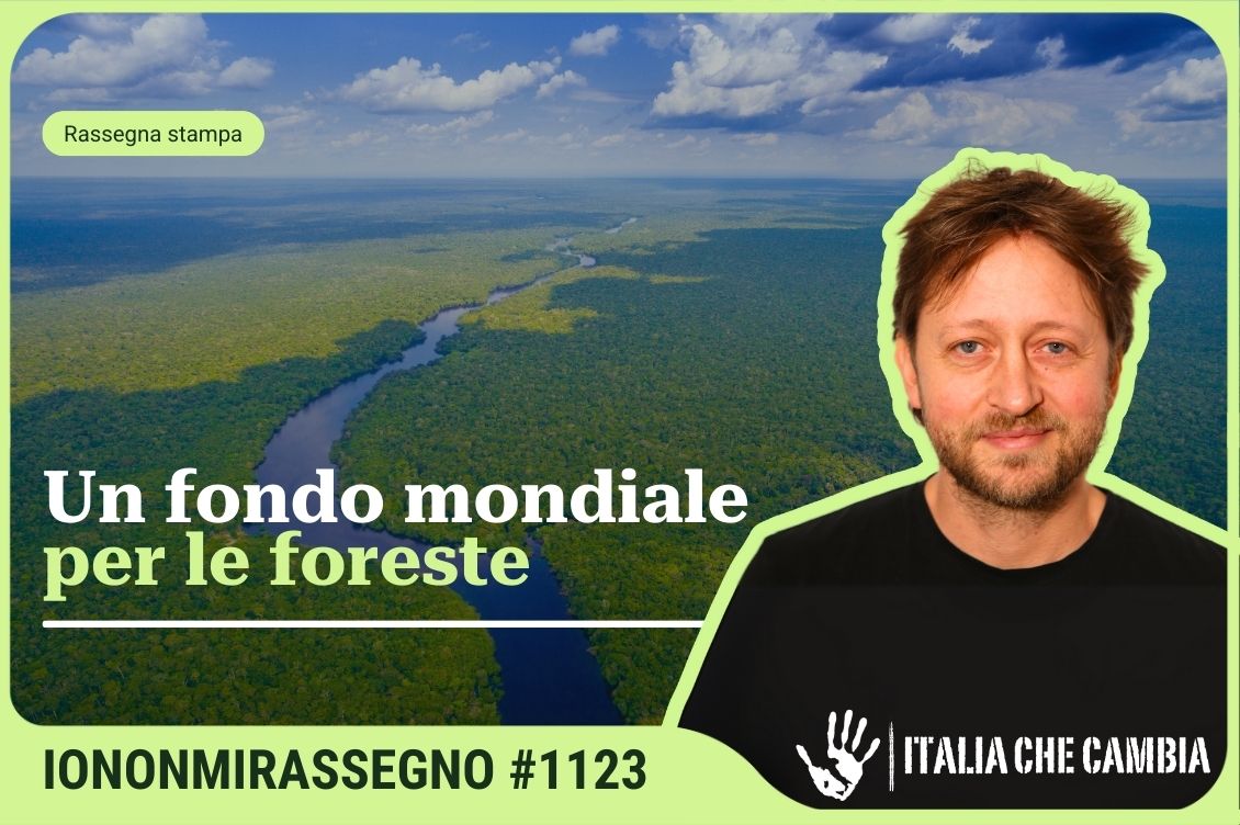 brasile fondo mondiale foreste tropicali
