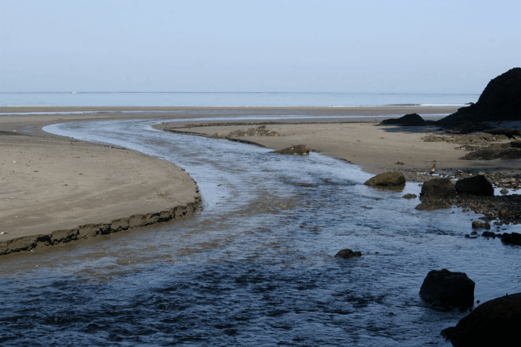 HEADER foce fiumi sardegna canva