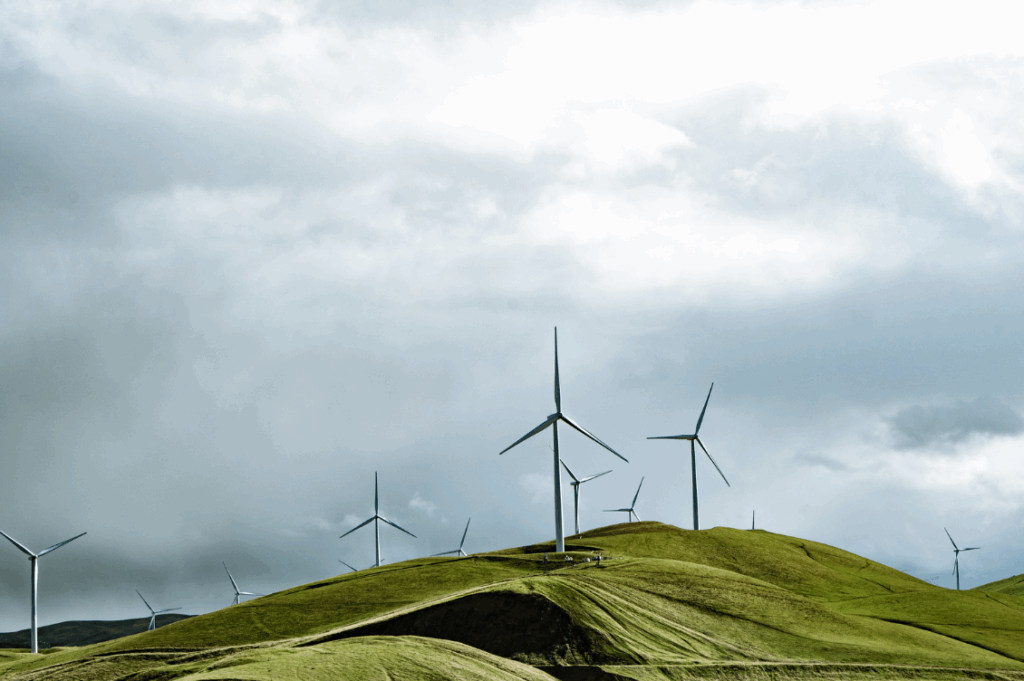 HEADER rinnovabili 1