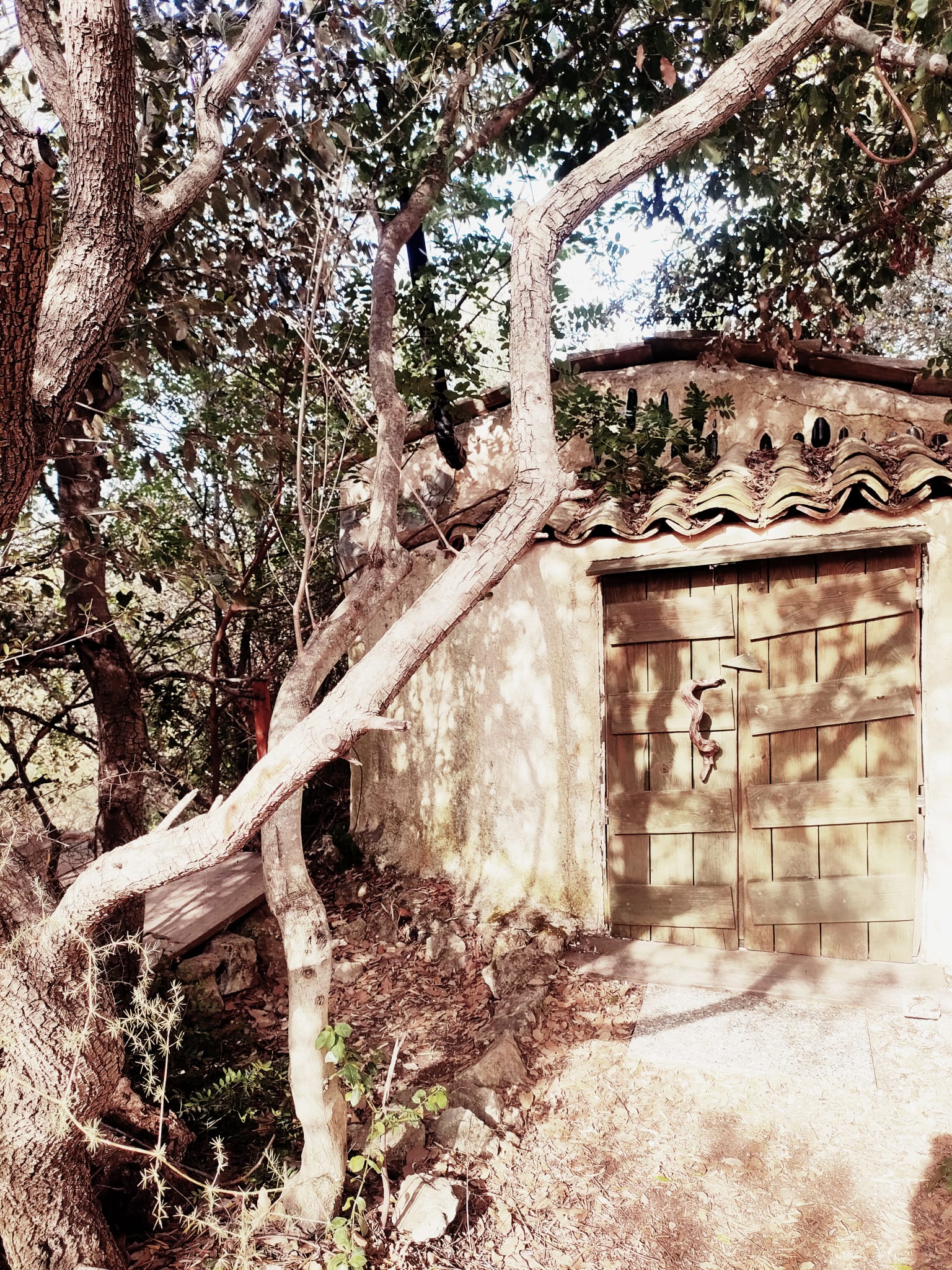 Immagine WhatsApp 2024 06 14 ore 10.42.36 7f4a9d73