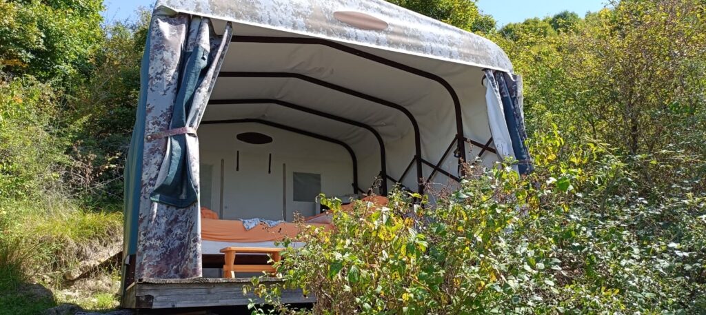 Immagine WhatsApp 2025 09 23 ore 08.06.12 554b4802