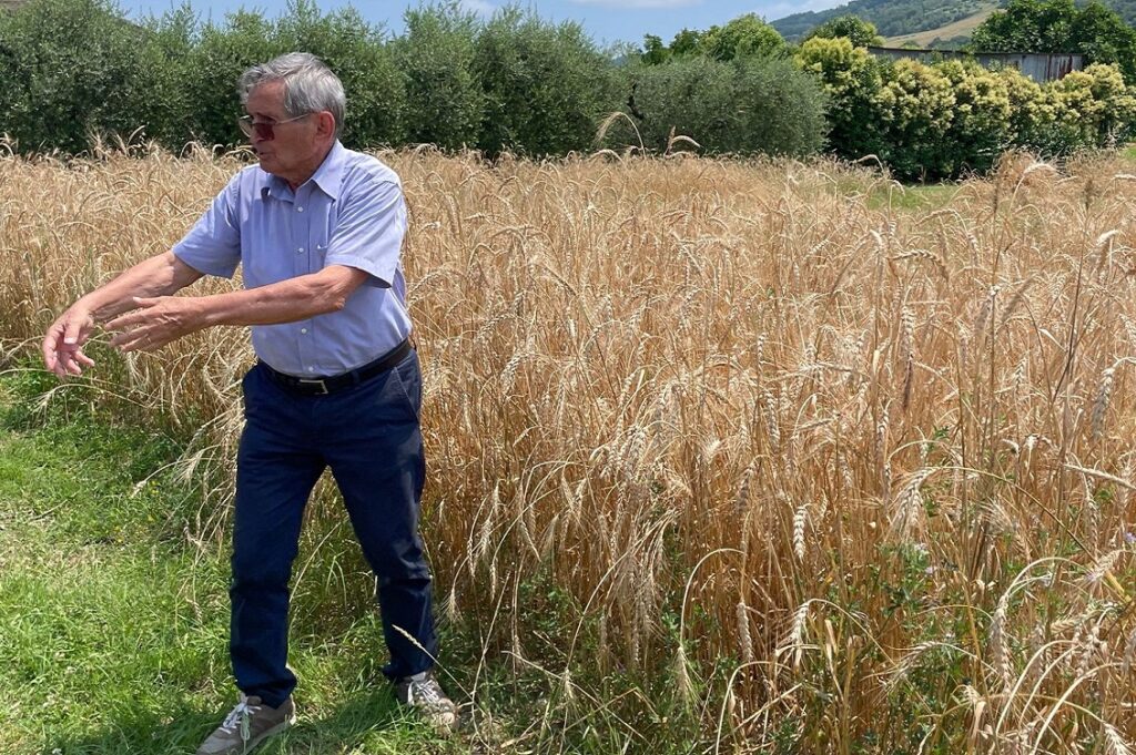 cambiamento climatico