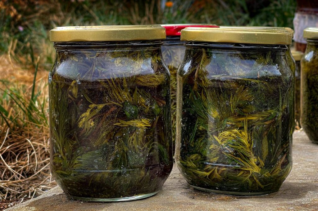 Vasetti di conserve di erbe spontanee realizzati durante il corso di ottobre 2025 ad Autosufficienza con Annalisa Malerba.