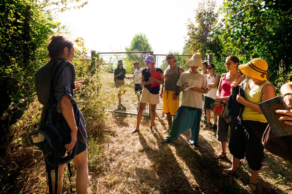 Meta description (per SEO WordPress): Dal 3 al 5 ottobre 2025 la Fattoria dell’Autosufficienza ospita il corso con Annalisa Malerba per imparare a riconoscere e cucinare le erbe spontanee: formazione pratica, escursioni e cucina naturale.