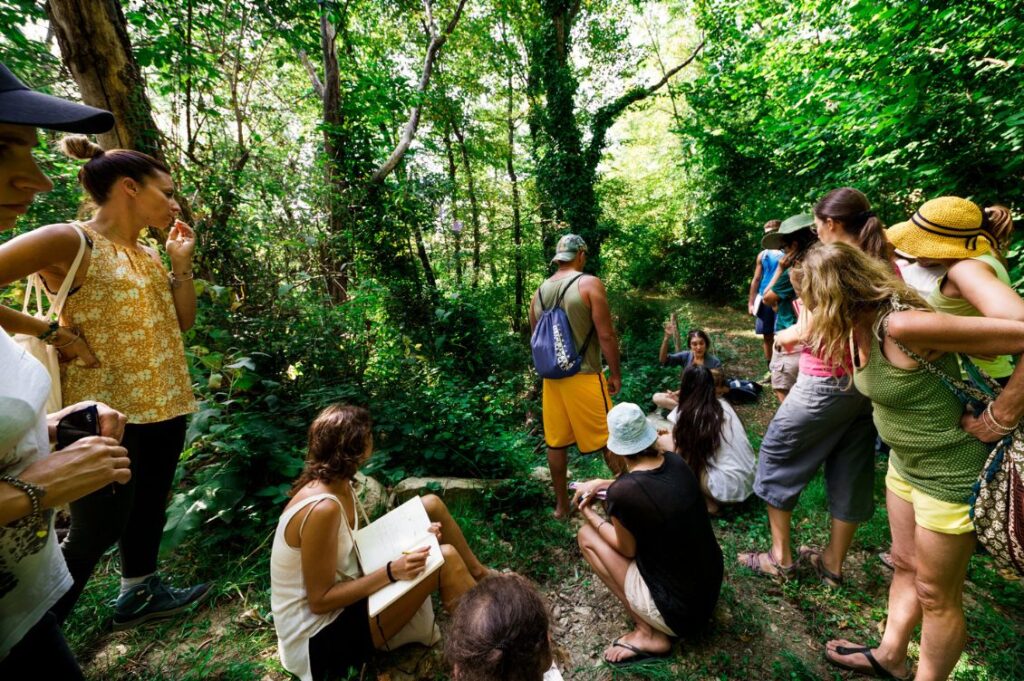 Gruppo di partecipanti al corso di ottobre 2025 con Annalisa Malerba, durante una lezione pratica nel bosco sul riconoscimento delle erbe spontanee ad Autosufficienza.