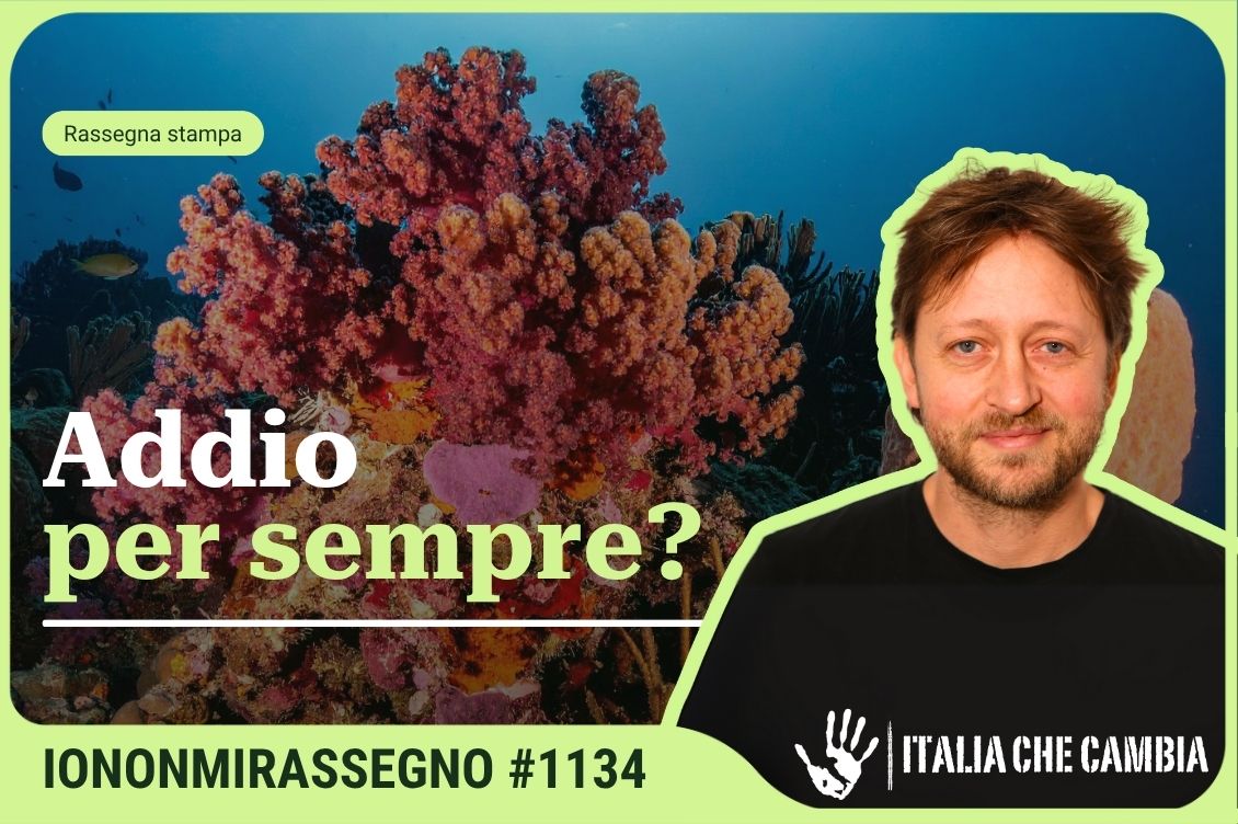 coralli tipping point