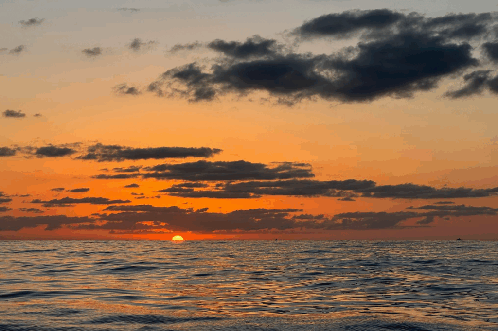 HEADER sumud flotilla maso 3