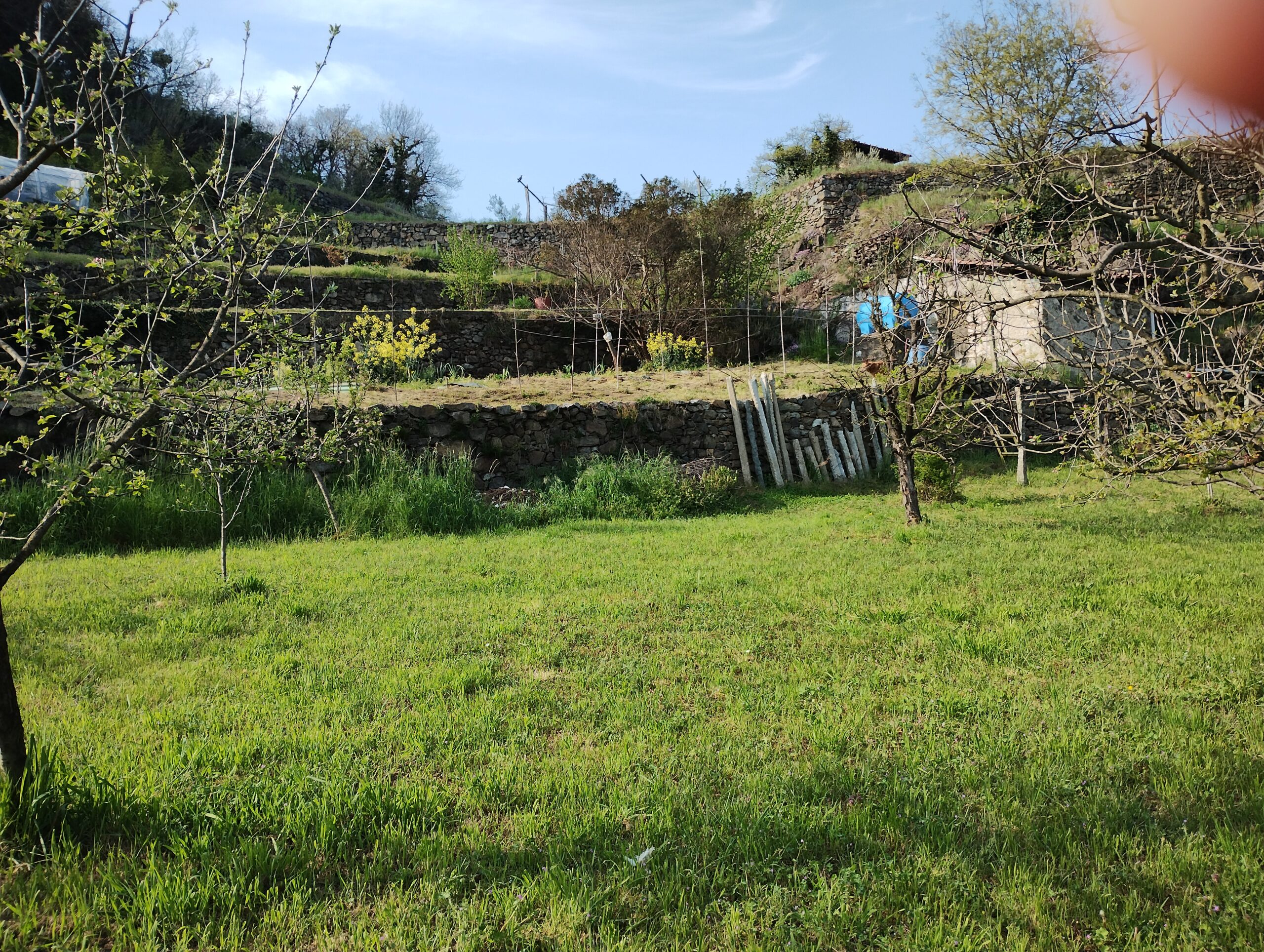 IMG 20250409 170504203 scaled