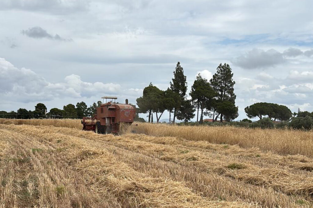 cooperativa terra nostra