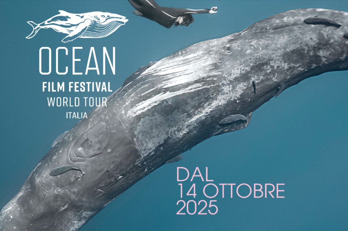 ocean film festival italia