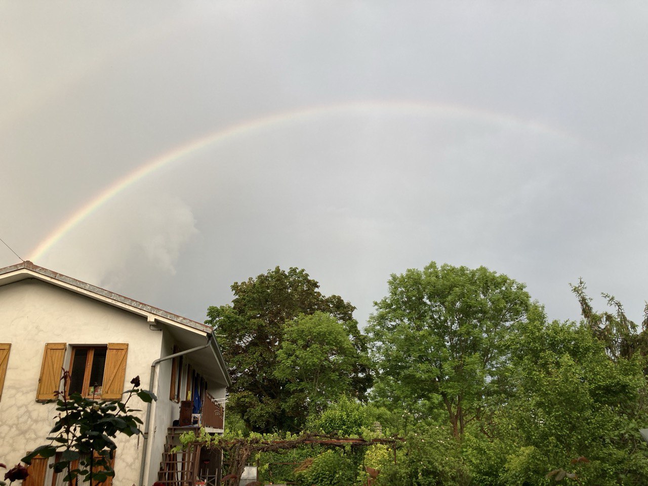 photo 6010392507382351854 y