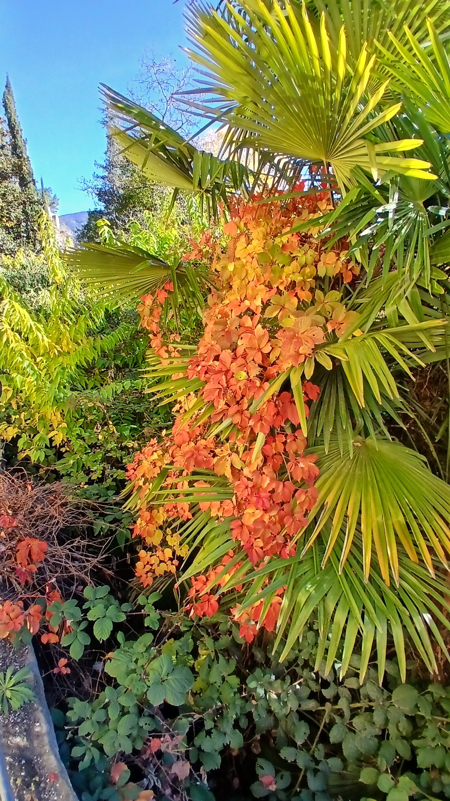 20251105 103154 rotated