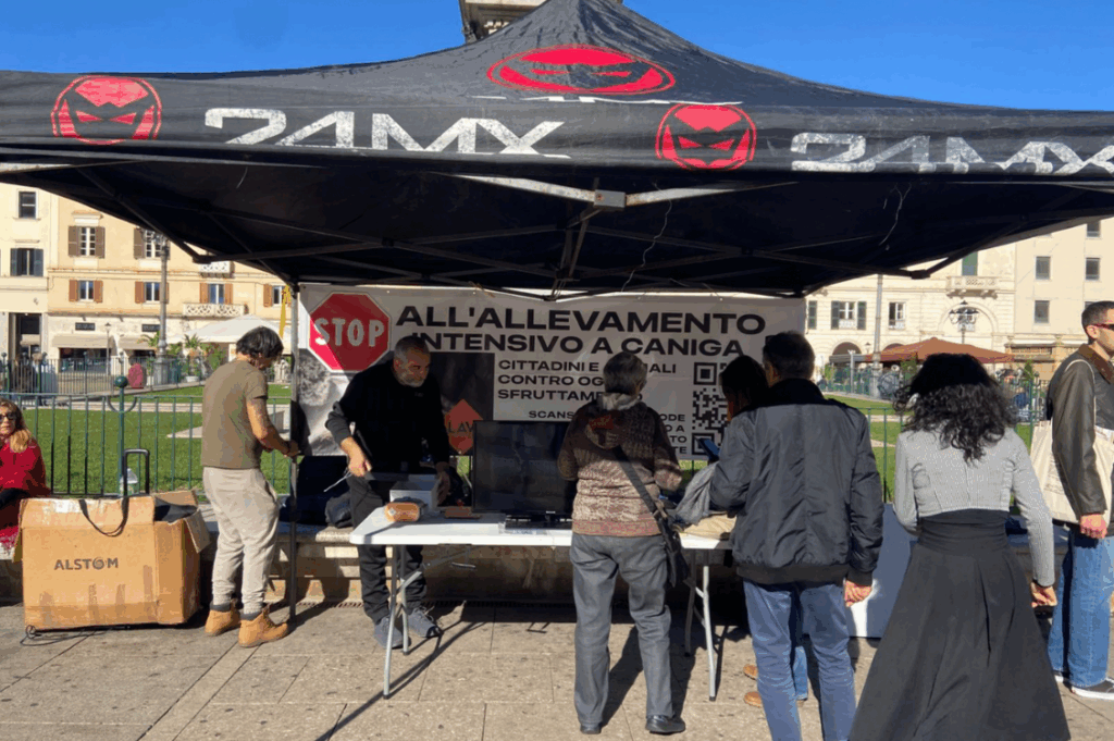 HEADER allevamento intensivo 2