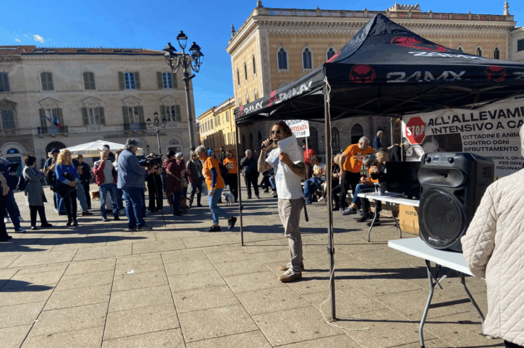 HEADER allevamento intensivo 3