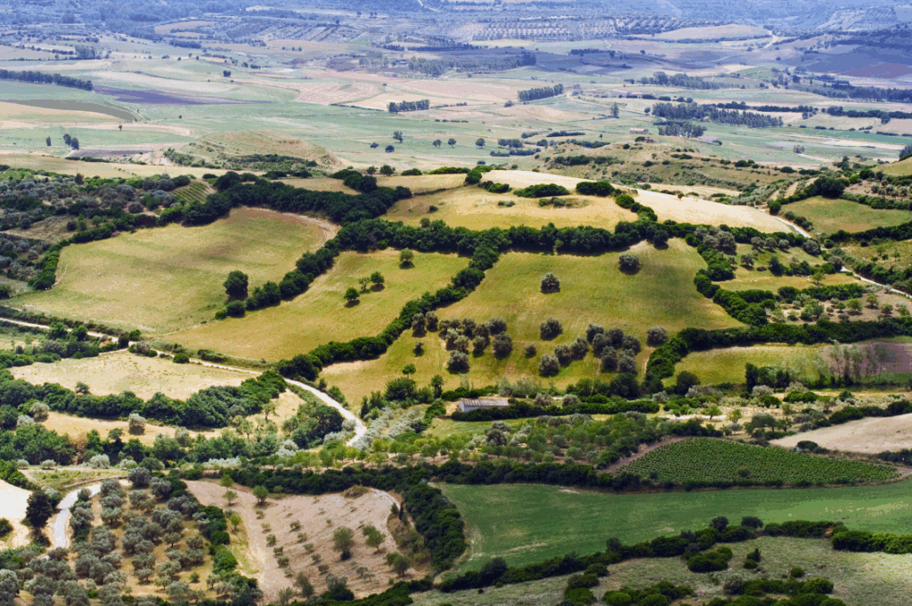 HEADER aree interne 2