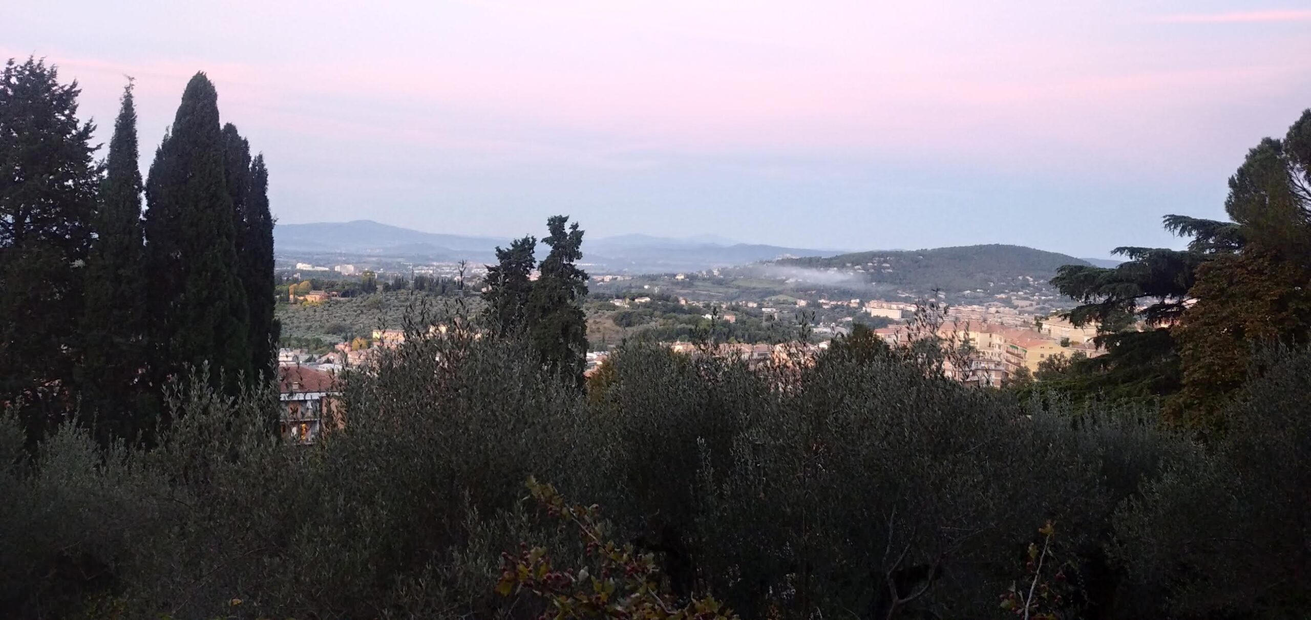 IMG 20251012 070937 scaled