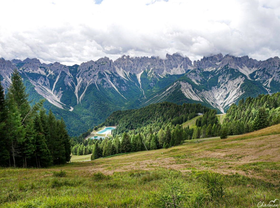 IMG 20251114 105938 1