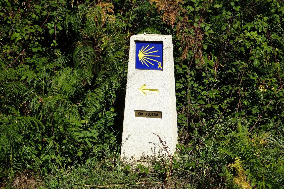 cammino di santiago167