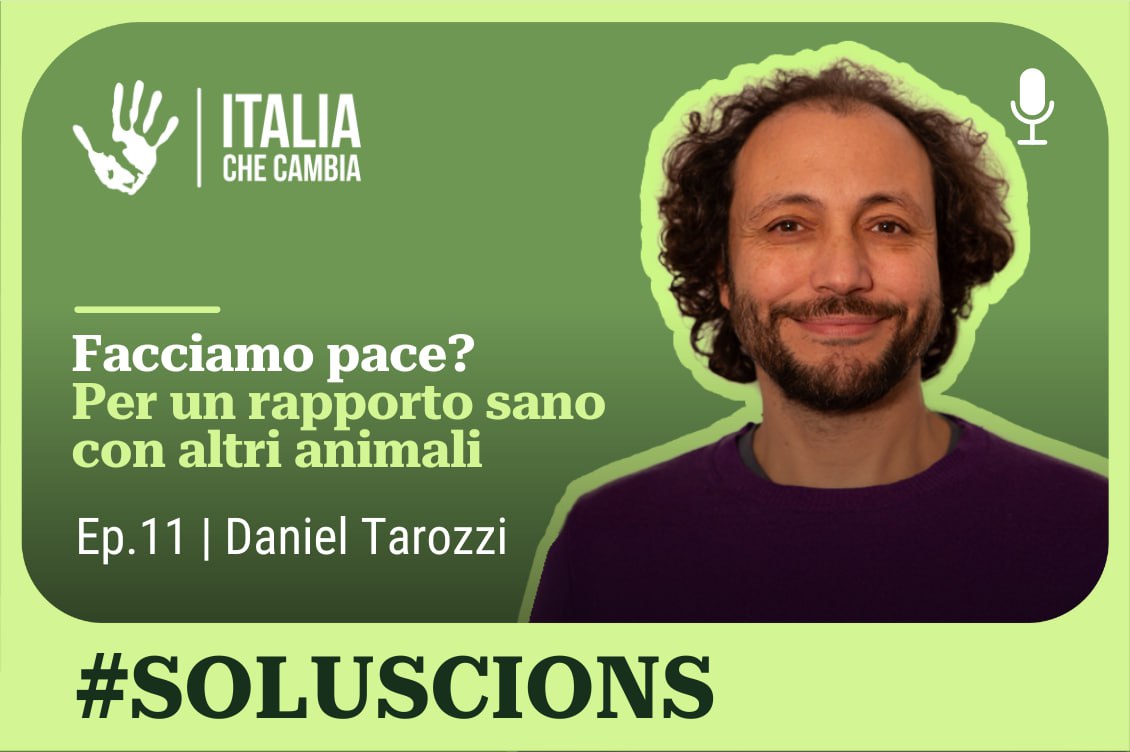 chiara grasso soluscions