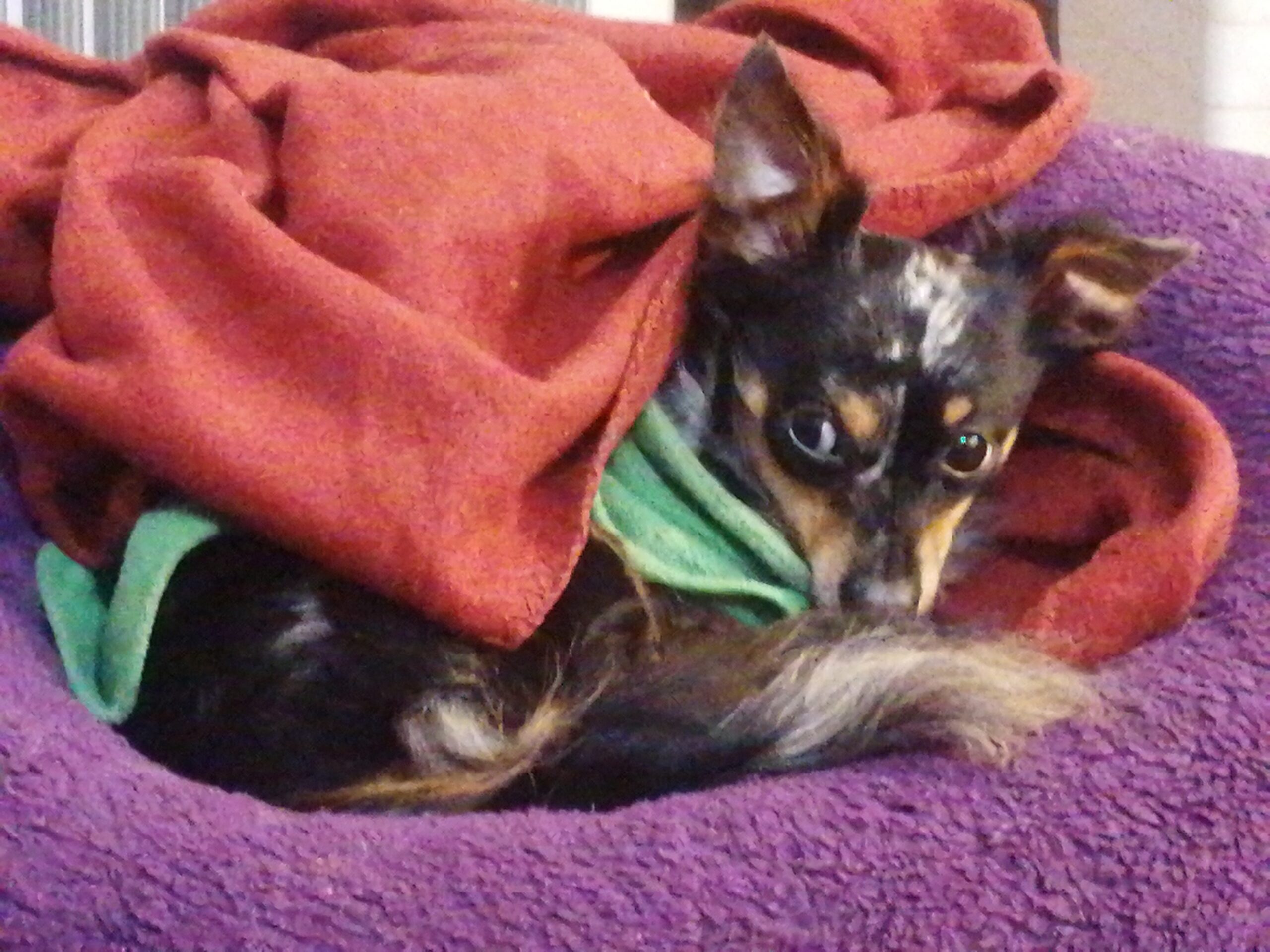 17658171272446710270063092421823 scaled