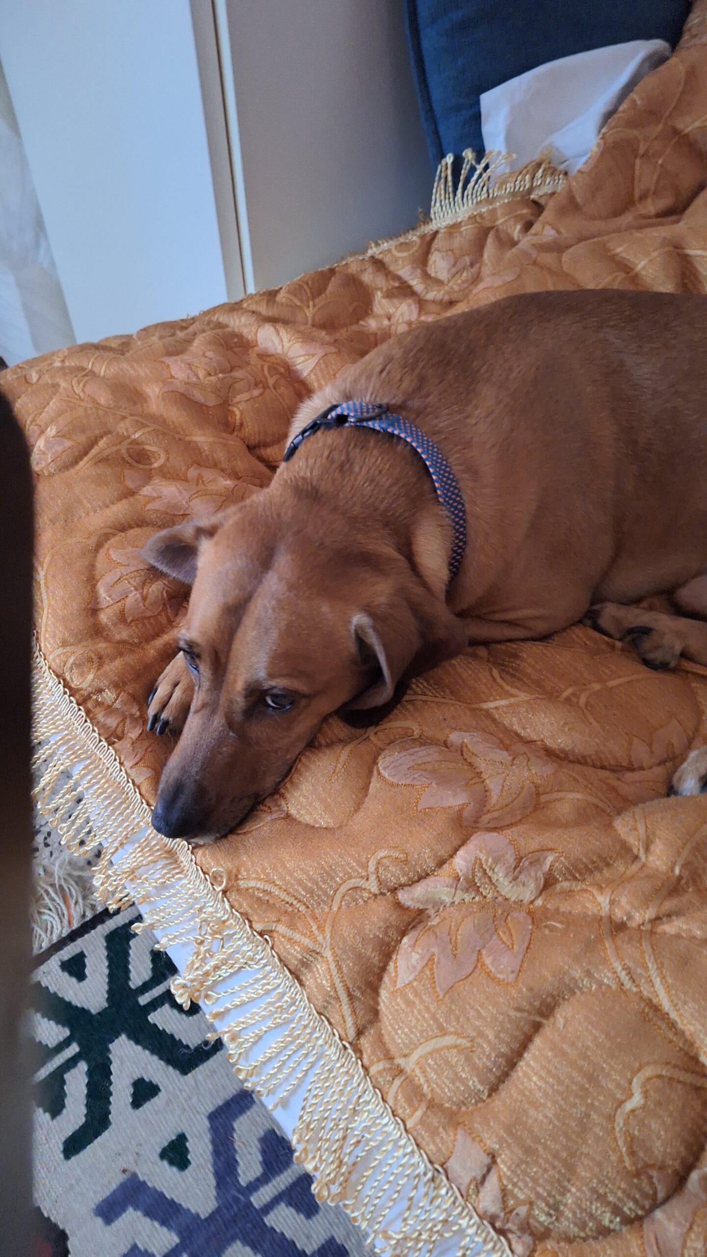 20240404 162313 scaled