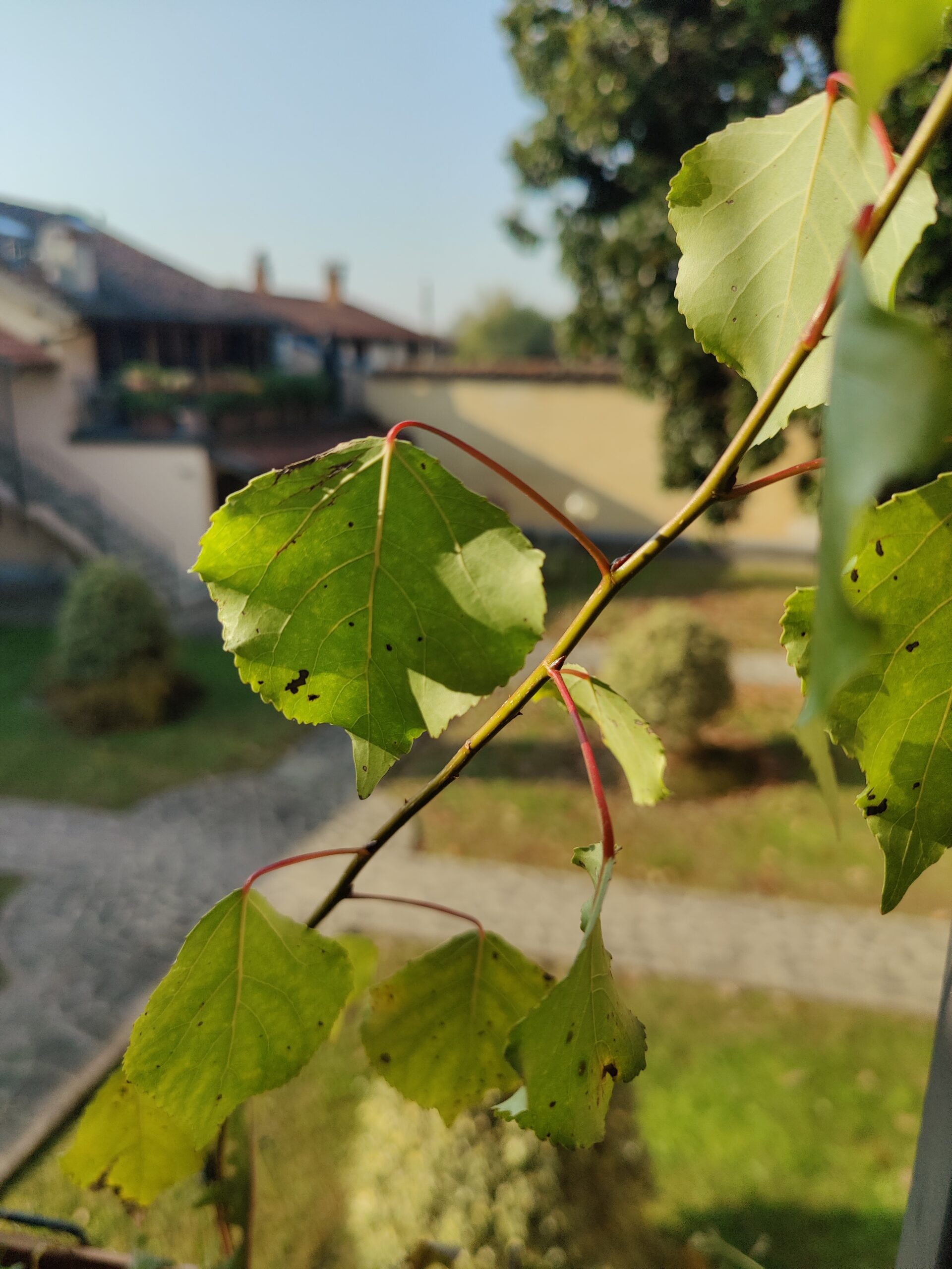 2025 11 08T10 32 5501 00 scaled