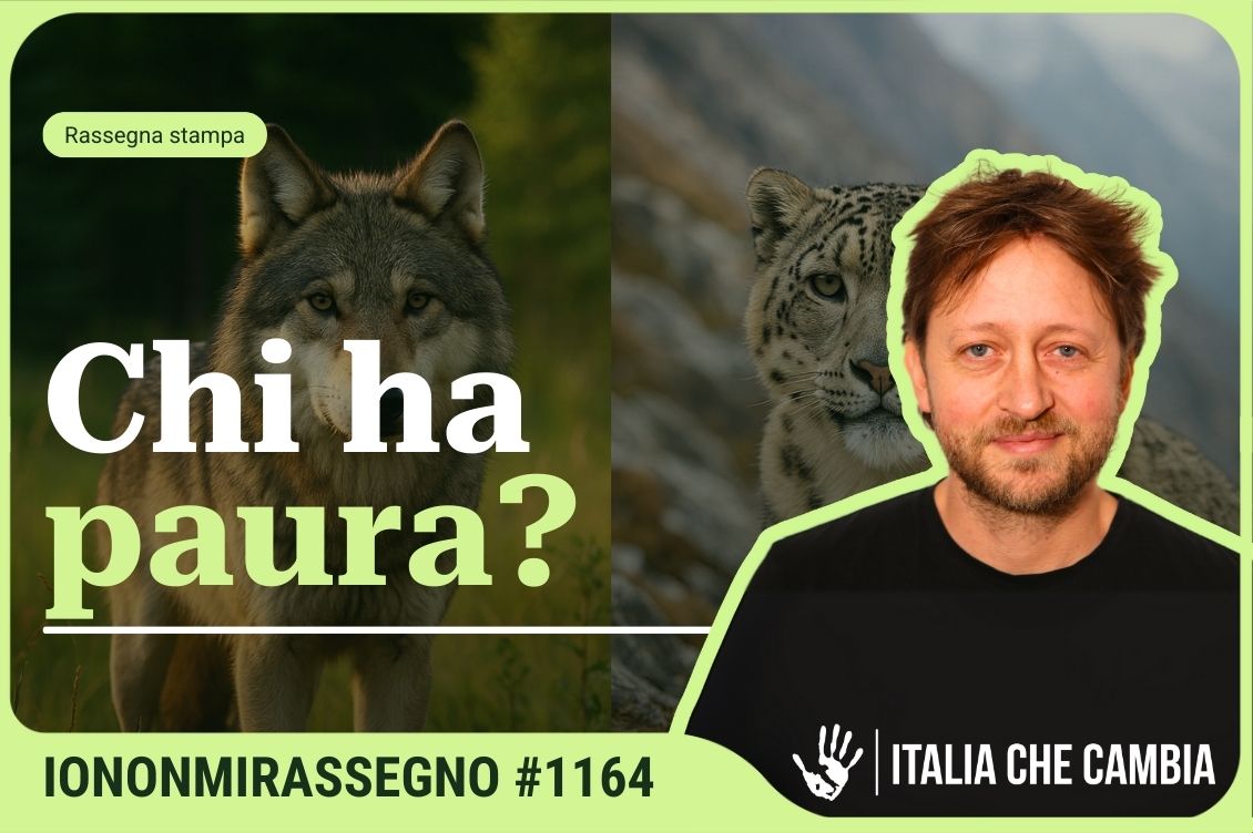 Cover Rassegna Home 1130 x 752 px 5