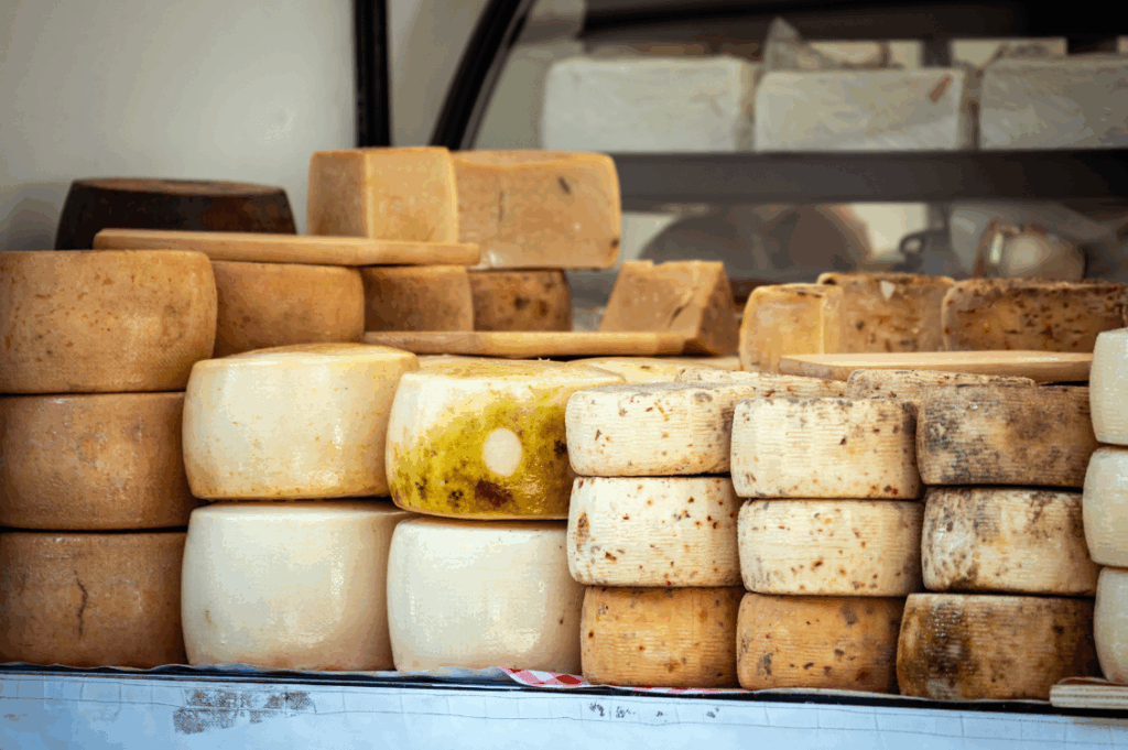 HEADER enciclopedia gastronomica sarda alessandra guigono 2