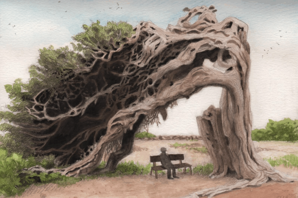 HEADER silvia ciccu 1