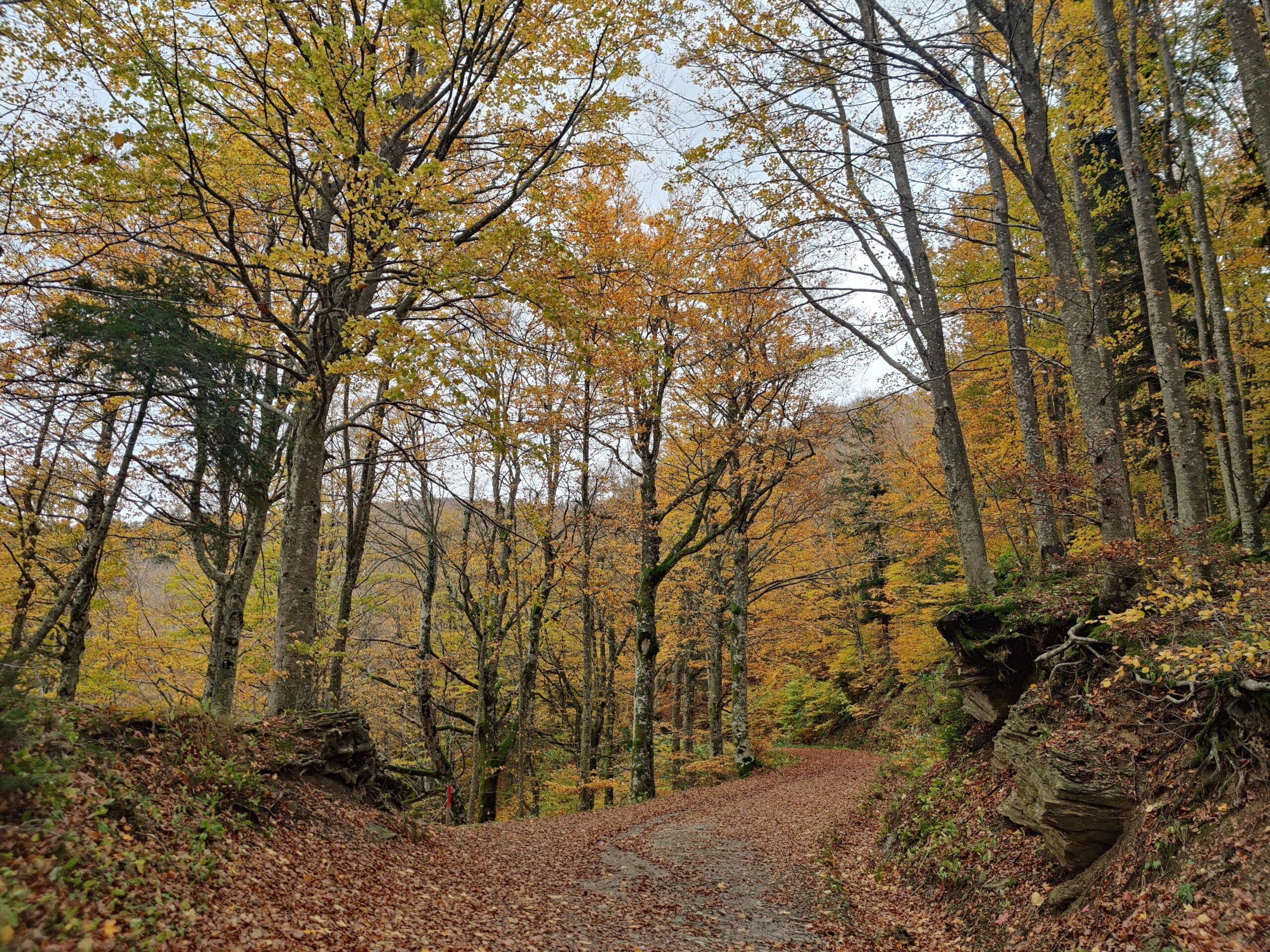 IMG 20251025 153653 1 scaled