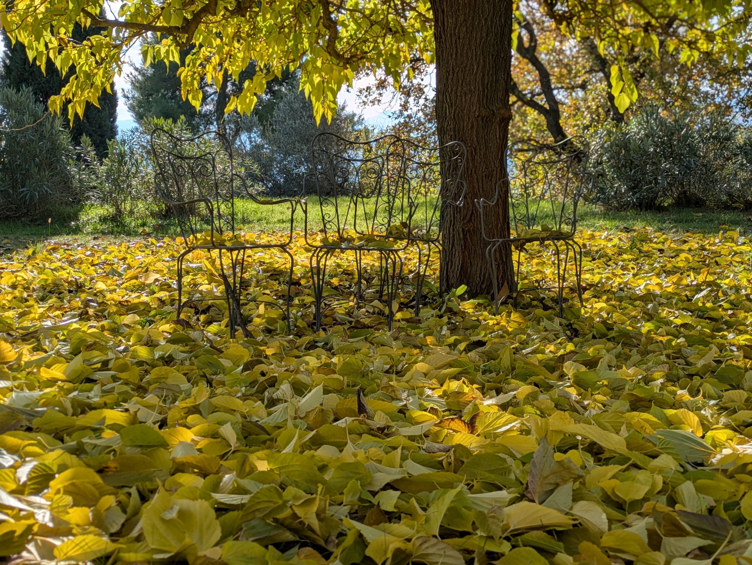 PXL 20251130 102543918.PORTRAIT scaled