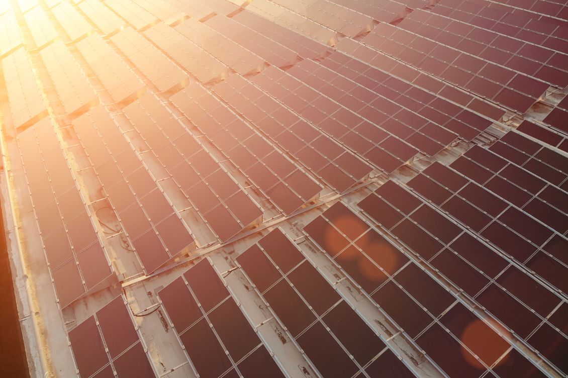 Ridimensionatore foto in formato articolo